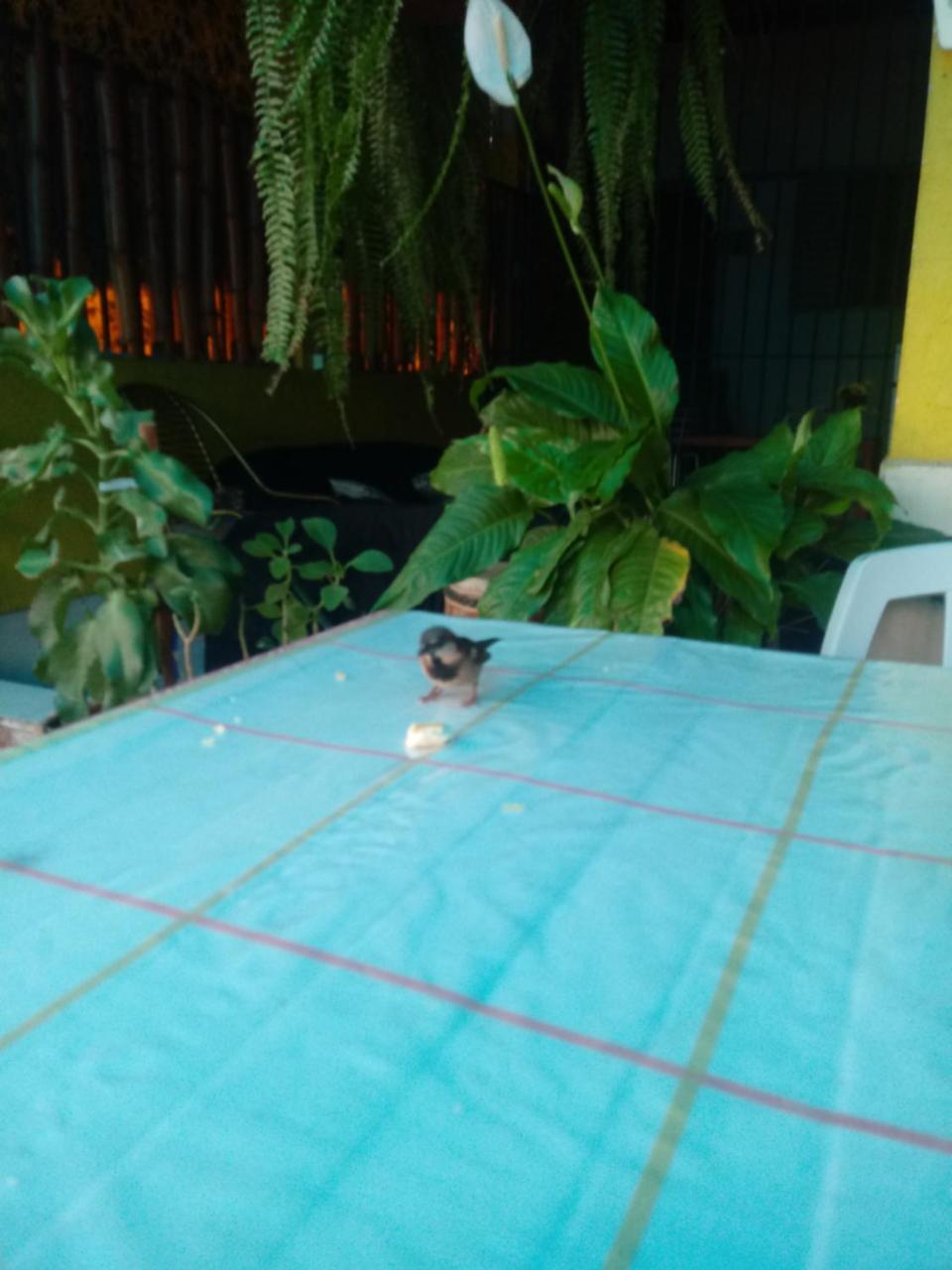 Hostel Freeway Brasília Zewnętrze zdjęcie