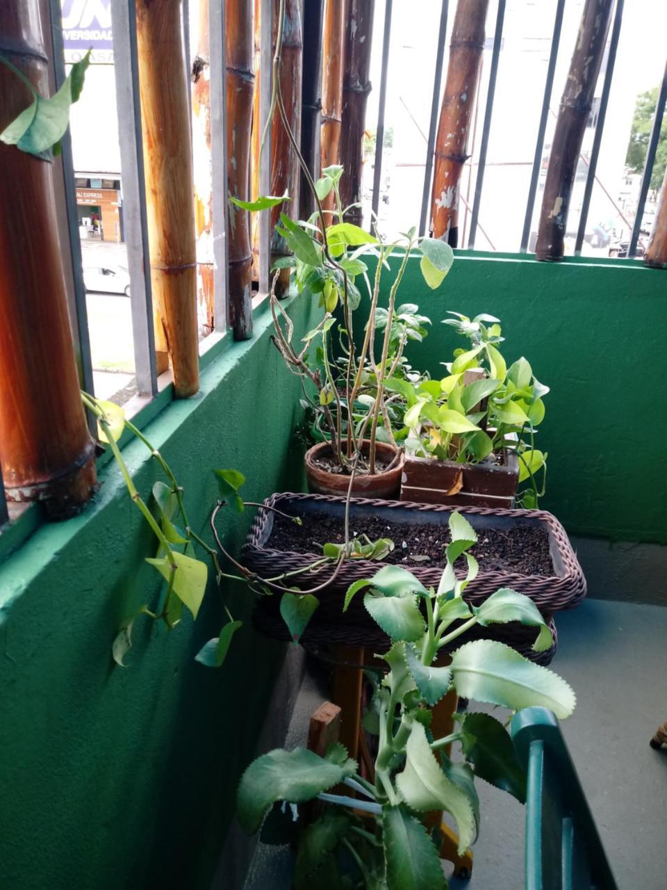 Hostel Freeway Brasília Zewnętrze zdjęcie
